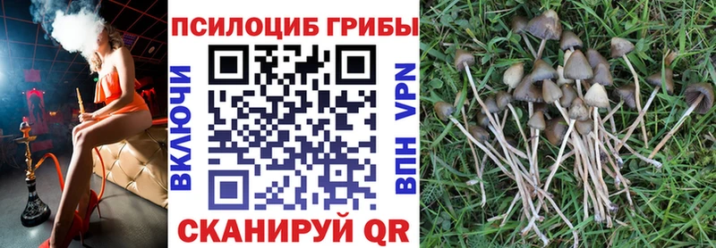 сколько стоит  Лысково  Галлюциногенные грибы мухоморы 